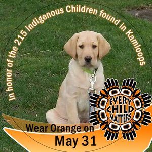 Meet your Posher, Bruce